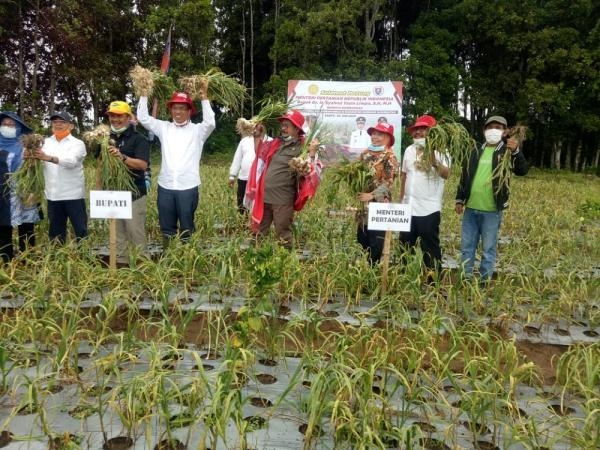  Humbahas Sentra Bawang Putih dan Bawang Merah